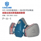海固HG-600 P-A-1 N2195综合防毒面具套装