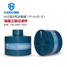 海固P-H2S-3三级硫化氢滤毒罐