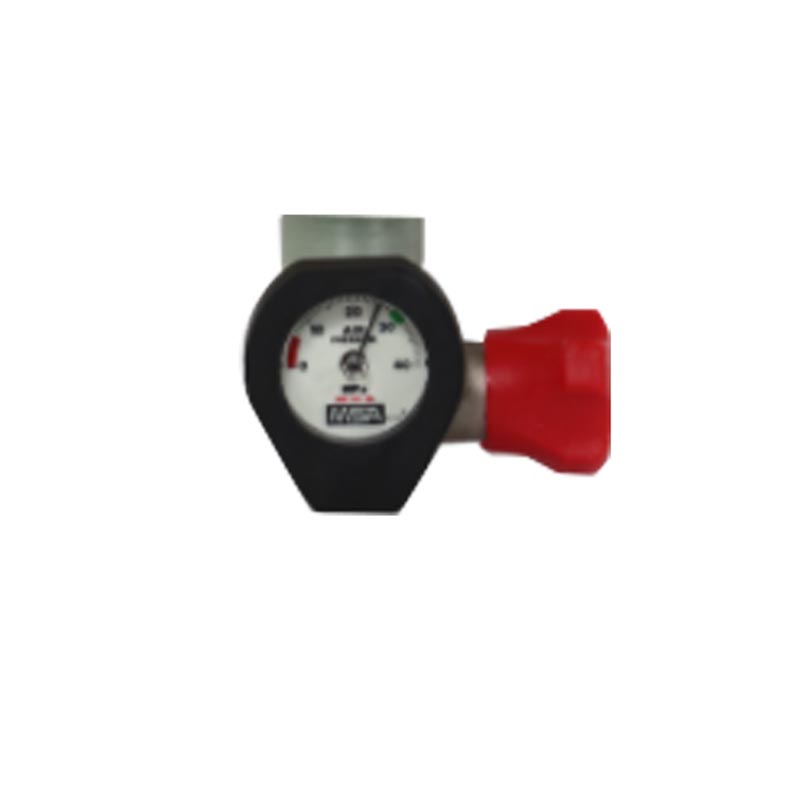 梅思安10160498-SP气体检测仪瓶阀带表