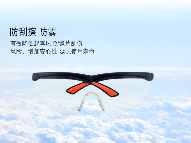重松EE-11防护眼镜图5
