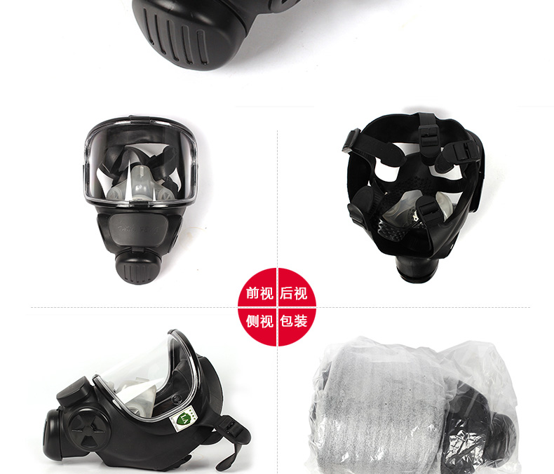唐丰TF-A全面罩防毒面具图2