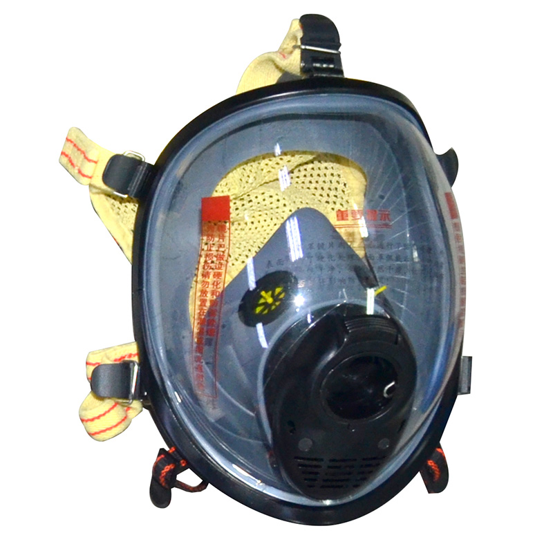 宝亚TRQ21002-CS900防毒全面罩图片