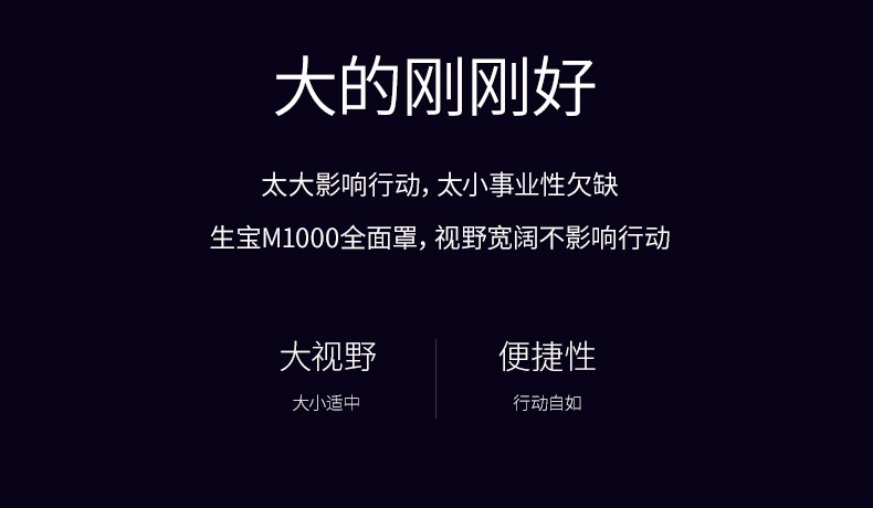 生宝M1000自吸过滤式防毒面具图片3