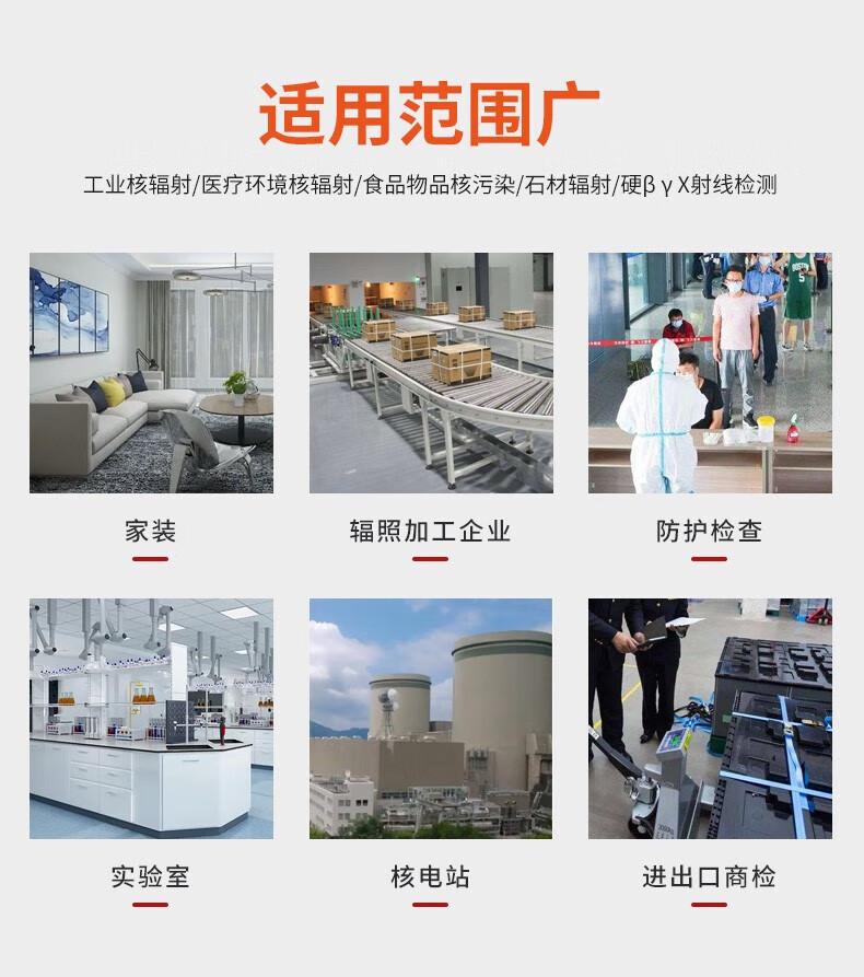 爱德克斯HFS-10核辐射测量仪4.jpg