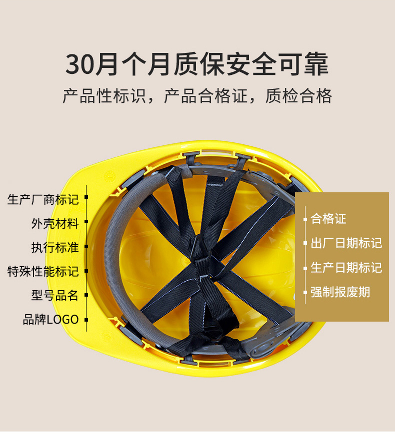定和DH3021内置护目镜带透气孔ABS安全帽6