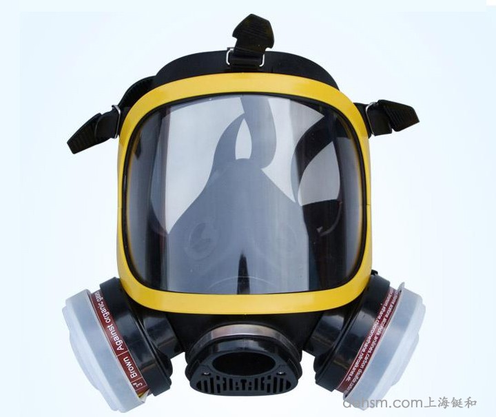 DH20154全面罩防毒面具正面图片
