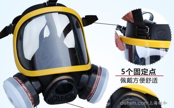 DH20154全面罩防毒面具细节图1