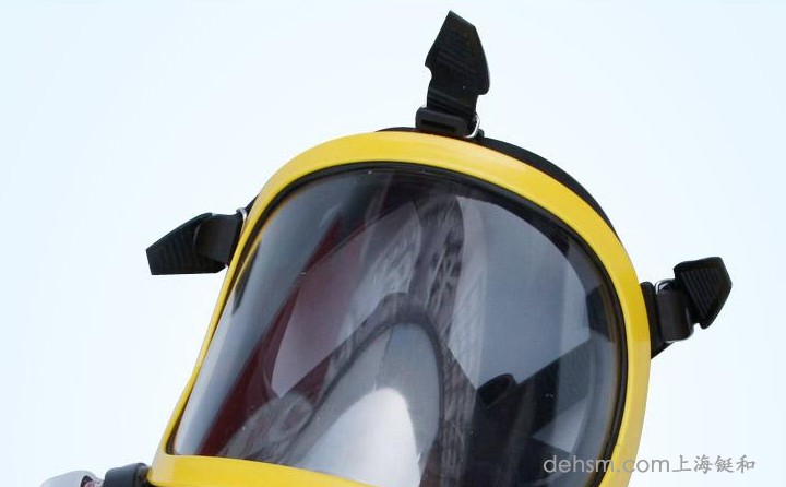 DH20154全面罩防毒面具图片2