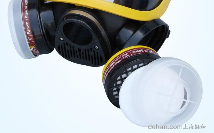 DH20154全面罩防毒面具图片3
