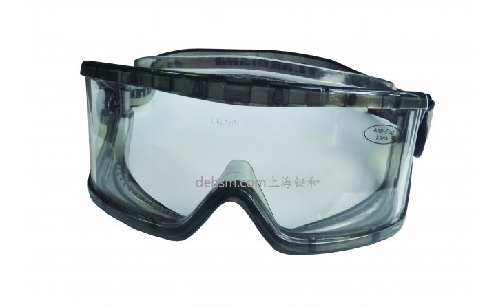 雷克兰G1580防雾安全护目镜实物图片