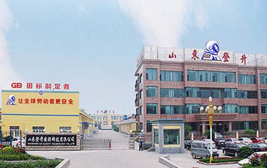 DS登升 DS登升