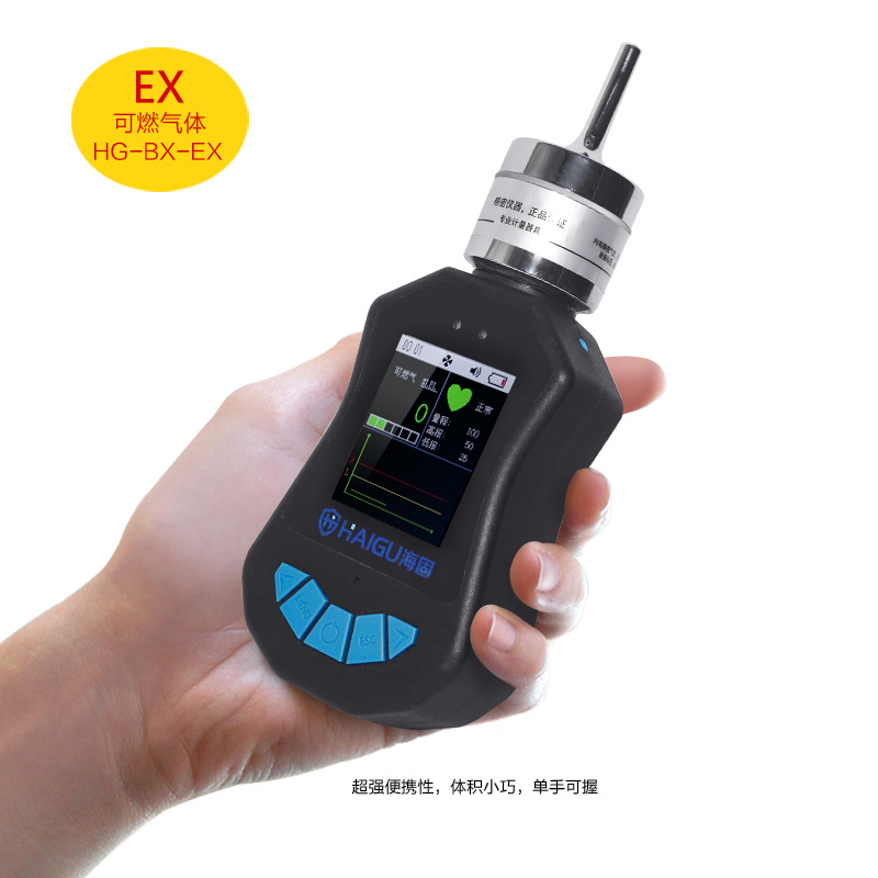 海固HG-BX-EX可燃气体泵吸式气体检测仪图片2