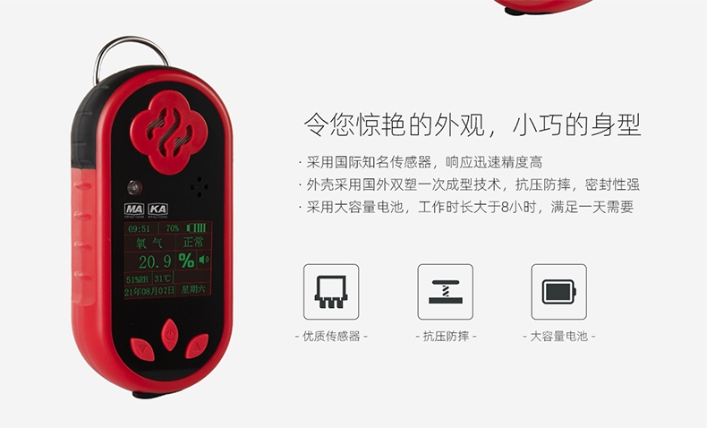 保时安CYH25氧气测定器图片3