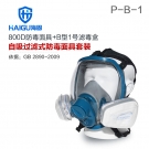 海固HG-800D/P-B-1/HG-TLMG防毒面具 无机气体综合防护