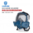 海固HG-800D/HG-SKL防颗粒物防尘面具套装