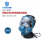 海固HG-800D全面罩防毒面具