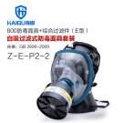 海固HG-800 Z-E-P2-2防毒面具套装