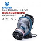 海固HG-800 Z-A-P2-2防毒面具套装