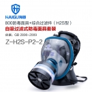 海固HG-800 Z-H2S-P2-2防毒面具套装
