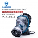 海固HG-800 Z-B-P2-2防毒面具套装