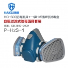海固HG-600 P-H2S-1滤毒盒硫化氢气体防毒面具