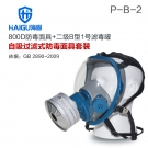 海固HG-800D HG-LV/P-B-2滤毒罐 无机气体综合防护防毒面具
