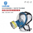 海固HG-800D HG-LV/P-E-2酸性气体专用防毒面具