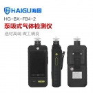 海固HG-FB4-2泵吸式四合一气体检测仪