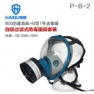 海固HG-800 P-B-2无机气体综合防护防毒面具