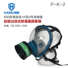 海固HG-800 P-K-2氨气全面罩防毒面具