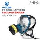 海固HG-800 P-E-2酸性气体专用全面罩防毒面具