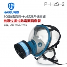海固HG-800 P-H2S-2滤毒罐硫化氢活性炭防毒面具