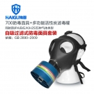 海固HG-700 D-A/B/E/K/H2S-3滤毒罐综合防毒气活性炭防毒面具
