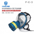 海固HG-800 P-E-3酸性气体专用全面罩防毒面具