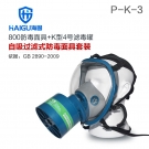 海固HG-800 P-K-3氨气全面罩防毒面具
