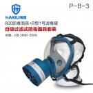 海固HG-800 P-B-3综合防无机气体防毒面具