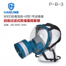 海固HG-800D P-B-3无机气体综合防毒面具