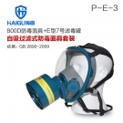 海固HG-800D P-E-3防酸性气体防毒面具
