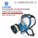 海固HG-800D D-A/B/E/K/H2S-2综合防毒气活性炭防毒面具