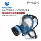 海固HG-800D P-H2S-2硫化氢活性炭防毒面具