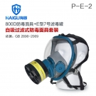 海固HG-800D P-E-2酸性气体专用防毒面具