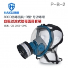 海固HG-800D P-B-2无机气体综合防毒面具