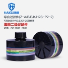 海固Z-A/B/E/K/H2S-P2-2二级综合滤毒罐