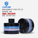 海固Z-H2S-P2-2二级硫化氢滤毒罐