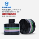 海固Z-K-P2-2二级氨及氨的有机衍生物滤毒罐