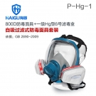 海固HG-800D P-Hg-1全面罩水银防毒面具