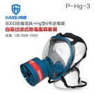 海固HG-800D P-Hg-3全面罩水银防毒面具