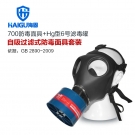 海固HG-700 P-Hg-3全面罩水银防毒面具