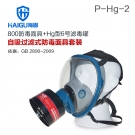 海固HG-800 P-Hg-2全面罩水银防毒面具