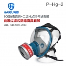 海固HG-800+HG-LV P-Hg-2全面罩水银防毒面具